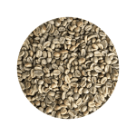 Premium Honey-Processed Arabica Green Coffee Beans – Yunnan Puer
