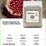Premium Yunnan Hand-Selected Arabica Green Coffee Beans Collection 1.5kg - Image 4