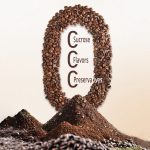 Yunnan Estate-Grade Grade 1 Medium Roasted Coffee Beans 100g - Image 2