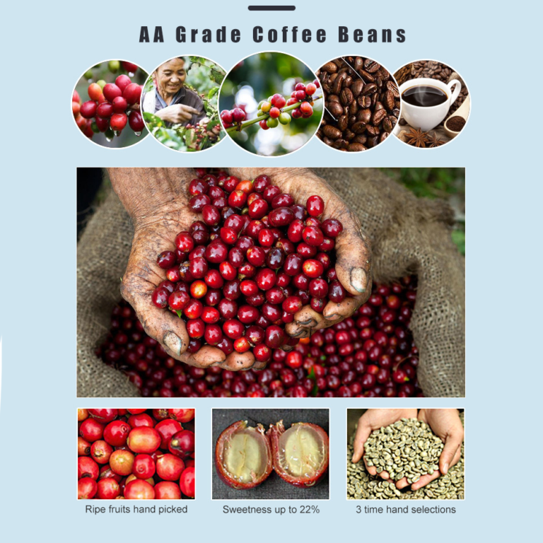 Coffee Brands With the Highest Quality Ingredients - High Grade Coffee Beans