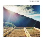 Blue Mountain Flavor Coffee Beans from Yunnan Puerh 454g - Image 4