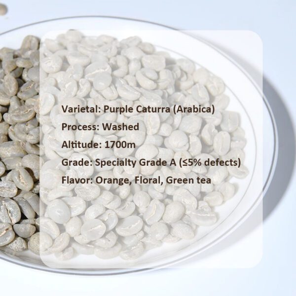 Premium Purple Caturra Washed Green Coffee Beans - Citrus & Floral Yunnan Specialty - Image 3