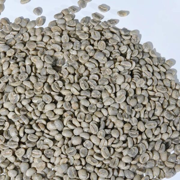 Premium Purple Caturra Washed Green Coffee Beans - Citrus & Floral Yunnan Specialty - Image 2