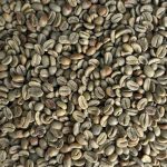 Premium Honey-Processed Arabica Green Coffee Beans – Yunnan Puer