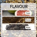 Premium Honey-Processed Arabica Green Coffee Beans – Yunnan Puer - Image 4