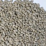 Premium Purple Caturra Washed Green Coffee Beans - Citrus & Floral Yunnan Specialty 1kg