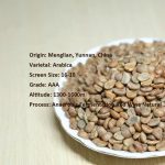 Premium Yunnan Anaerobic Natural Arabica Green Coffee Beans – 2024 Harvest 1kg - Image 4