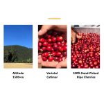 Premium Yunnan Arabica Peaberry Green Coffee Beans - Washed Process - Image 6