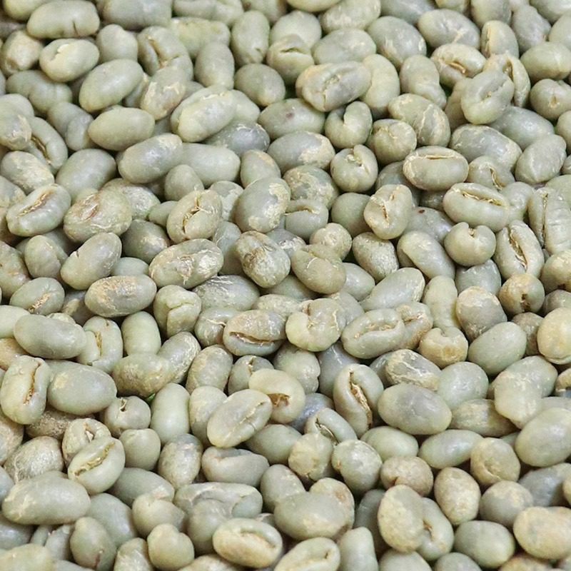 Premium Yunnan Arabica Peaberry Green Coffee Beans 3 Premium Yunnan Arabica Peaberry Green Coffee Beans - Washed Process - Image 1