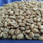 Premium Yunnan Arabica Peaberry Green Coffee Beans - Washed Process - Image 4