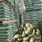 Premium Grade 1 Washed Process Yunnan Arabica Green Coffee Beans 2kg - Image 4