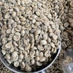 Premium Yunnan Baoshan Catimor AAA Green Coffee Beans 2kg - Image 5