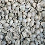 Premium Yunnan Baoshan Catimor AAA Green Coffee Beans 2kg - Image 3