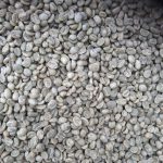 Premium Yunnan Baoshan Catimor AAA Green Coffee Beans 2kg - Image 4