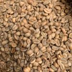 Premium Yunnan Baoshan Sun-Dried AA Arabica Green Coffee Beans 500g