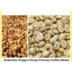 Premium Yunnan Hand-Selected Arabica Green Coffee Beans Collection 1.5kg - Image 9