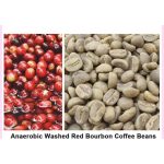 Premium Yunnan Hand-Selected Arabica Green Coffee Beans Collection 1.5kg - Image 11