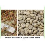Premium Yunnan Hand-Selected Arabica Green Coffee Beans Collection 1.5kg - Image 5