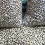 Premium Yunnan Washed Catimor Peaberry AA Green Coffee Beans - Hand-Selected Specialty Grade 500g - Image 4