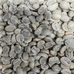 Commercial Grade Yunnan Pu'er Caturra Green Coffee Beans 2kg