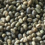 Premium Yunnan Grade 2 Peaberry Arabica Green Coffee Beans 2kg - Image 2