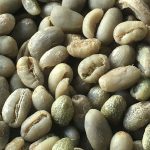 Premium Yunnan Grade 2 Peaberry Arabica Green Coffee Beans 2kg