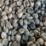 Yunnan Baoshan Washed AA Arabica Green Coffee Beans 1kg - Image 3