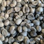 Yunnan Baoshan Washed AA Arabica Green Coffee Beans 1kg - Image 4