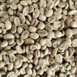 Yunnan A Grade Catimor Green Coffee Beans, High-Altitude Washed Arabica 1kg
