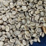 Yunnan A Grade Catimor Green Coffee Beans, High-Altitude Washed Arabica 1kg - Image 5