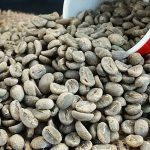Yunnan A Grade Catimor Green Coffee Beans, High-Altitude Washed Arabica 1kg - Image 7