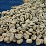 Yunnan AA Grade Washed Catimor Green Coffee Beans 1kg - Image 7