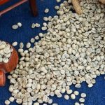 Yunnan AA Grade Washed Catimor Green Coffee Beans 1kg - Image 6