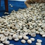 Yunnan AA Grade Washed Catimor Green Coffee Beans 1kg - Image 5