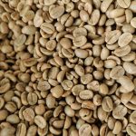 Yunnan AA Grade Washed Catimor Green Coffee Beans 1kg
