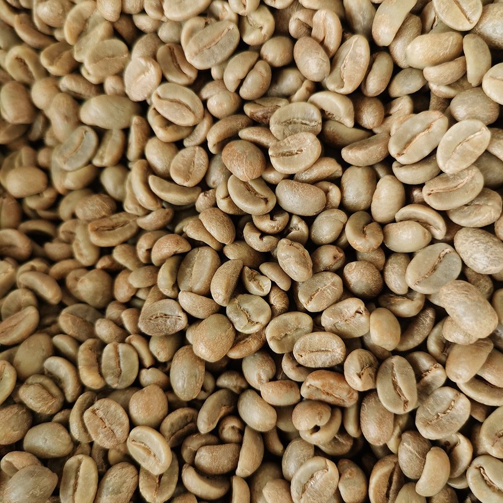 AA Grade Catimor Green Coffee - Washed Yunnan Arabica (7) Yunnan AA Grade Washed Catimor Green Coffee Beans 1kg - Image 1