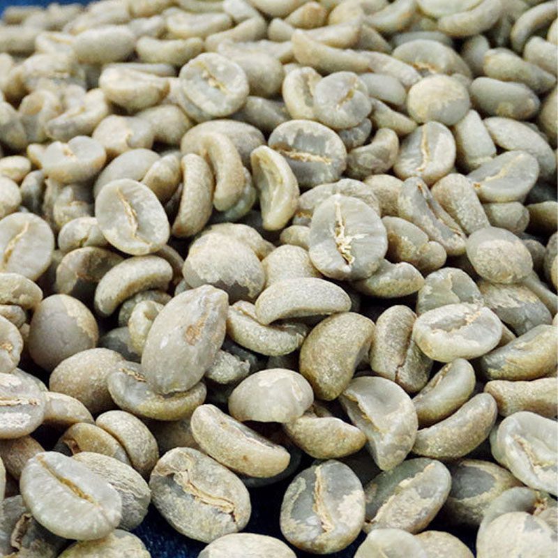 AAA Catimor Green Coffee Beans - High-Altitude Yunnan Washed Arabica (10) Yunnan AAA Catimor Green Coffee Beans, High-Altitude Washed Arabica 1kg - Image 1