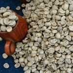 Yunnan AAA Catimor Green Coffee Beans, High-Altitude Washed Arabica 1kg - Image 7