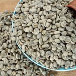 Yunnan AAA Catimor Green Coffee Beans, High-Altitude Washed Arabica 1kg - Image 10