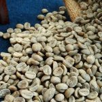 Yunnan AAA Catimor Green Coffee Beans, High-Altitude Washed Arabica 1kg - Image 8
