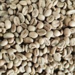 Grade 1 Yunnan Arabica Green Coffee Beans, Washed Premium Coffee Beans 1kg