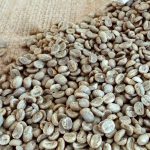 Grade 1 Yunnan Arabica Green Coffee Beans, Washed Premium Coffee Beans 1kg - Image 3