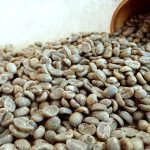 Grade 1 Yunnan Arabica Green Coffee Beans, Washed Premium Coffee Beans 1kg - Image 4