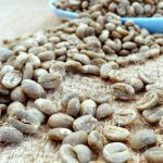 Grade 1 Yunnan Arabica Green Coffee Beans, Washed Premium Coffee Beans 1kg - Image 5