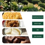 Grade 1 Yunnan Arabica Green Coffee Beans, Washed Premium Coffee Beans 1kg - Image 7