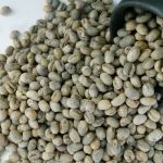 Yunnan Washed Peaberry (PB) Green Coffee Beans, Premium Arabica 1kg - Image 7