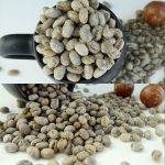 Yunnan Washed Peaberry (PB) Green Coffee Beans, Premium Arabica 1kg - Image 12