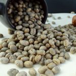 Yunnan Washed Peaberry (PB) Green Coffee Beans, Premium Arabica 1kg - Image 11