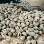 Yunnan Washed Peaberry (PB) Green Coffee Beans, Premium Arabica 1kg - Image 8