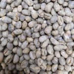 Yunnan Washed Peaberry (PB) Green Coffee Beans, Premium Arabica 1kg - Image 5